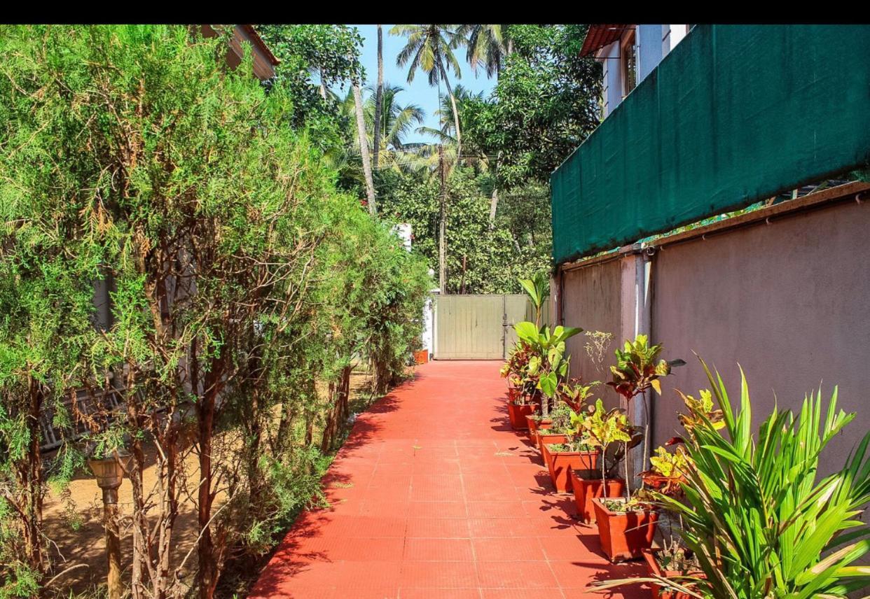 Franria Villa Guest House Calangute Εξωτερικό φωτογραφία